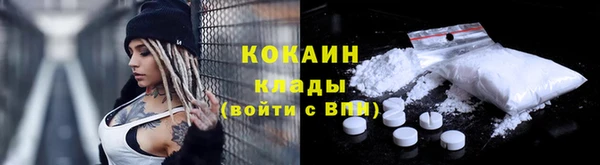 дживик Алексин